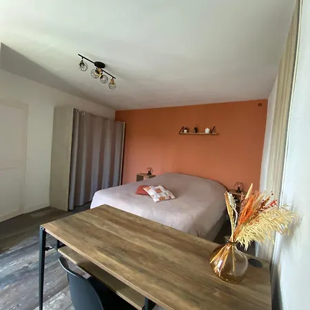 Appartamento Les Cocons Du Centre Niortais *